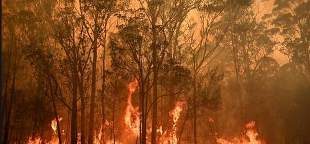 Australia Fire Lastest News Update