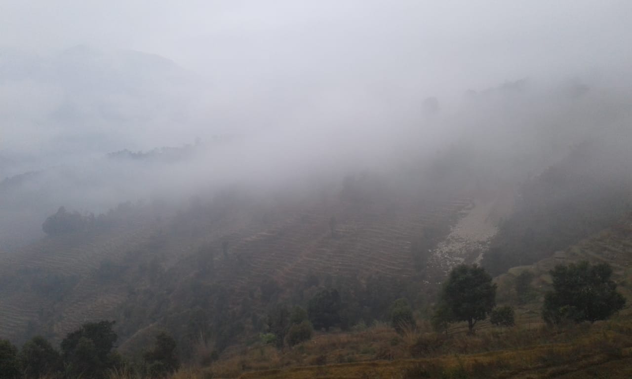 Moring time of Foggy happen on Kristi