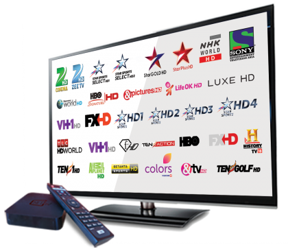 Which tv program did you watch it daily
