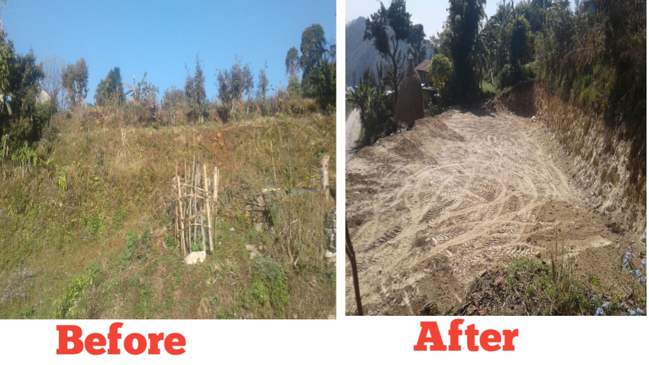 Before and After landscape change it