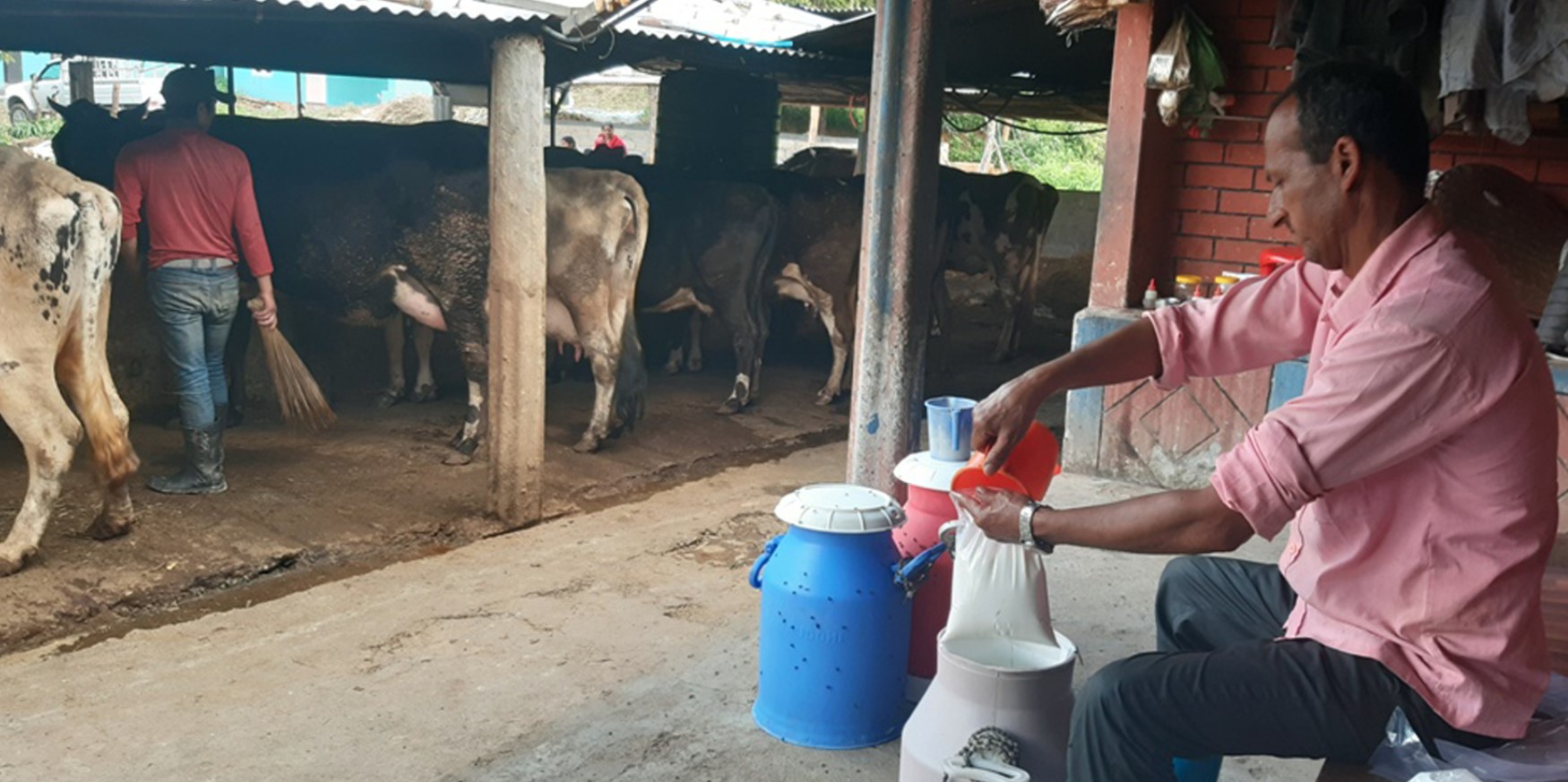 During Lockdown Farmer's effect on the milk