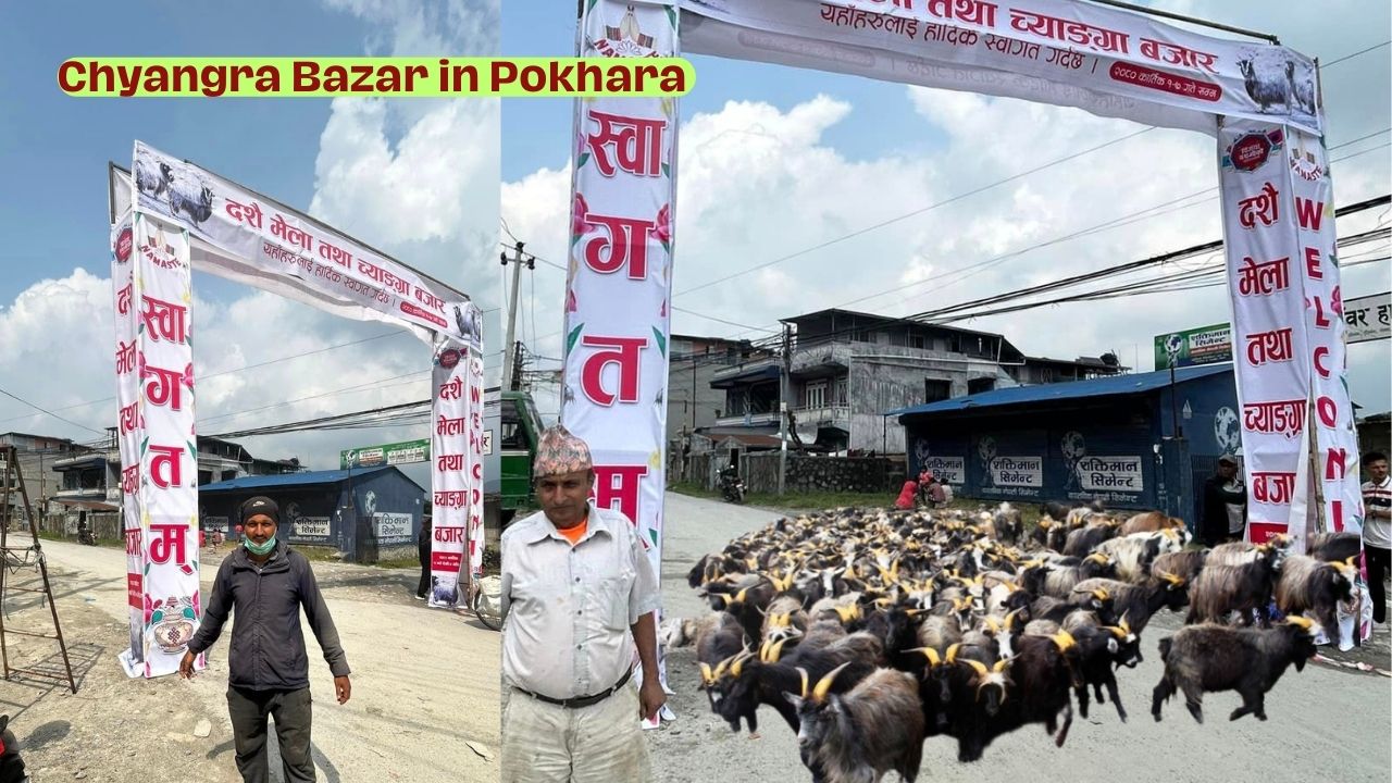 Chyangra Bazar in Pokhara 2080