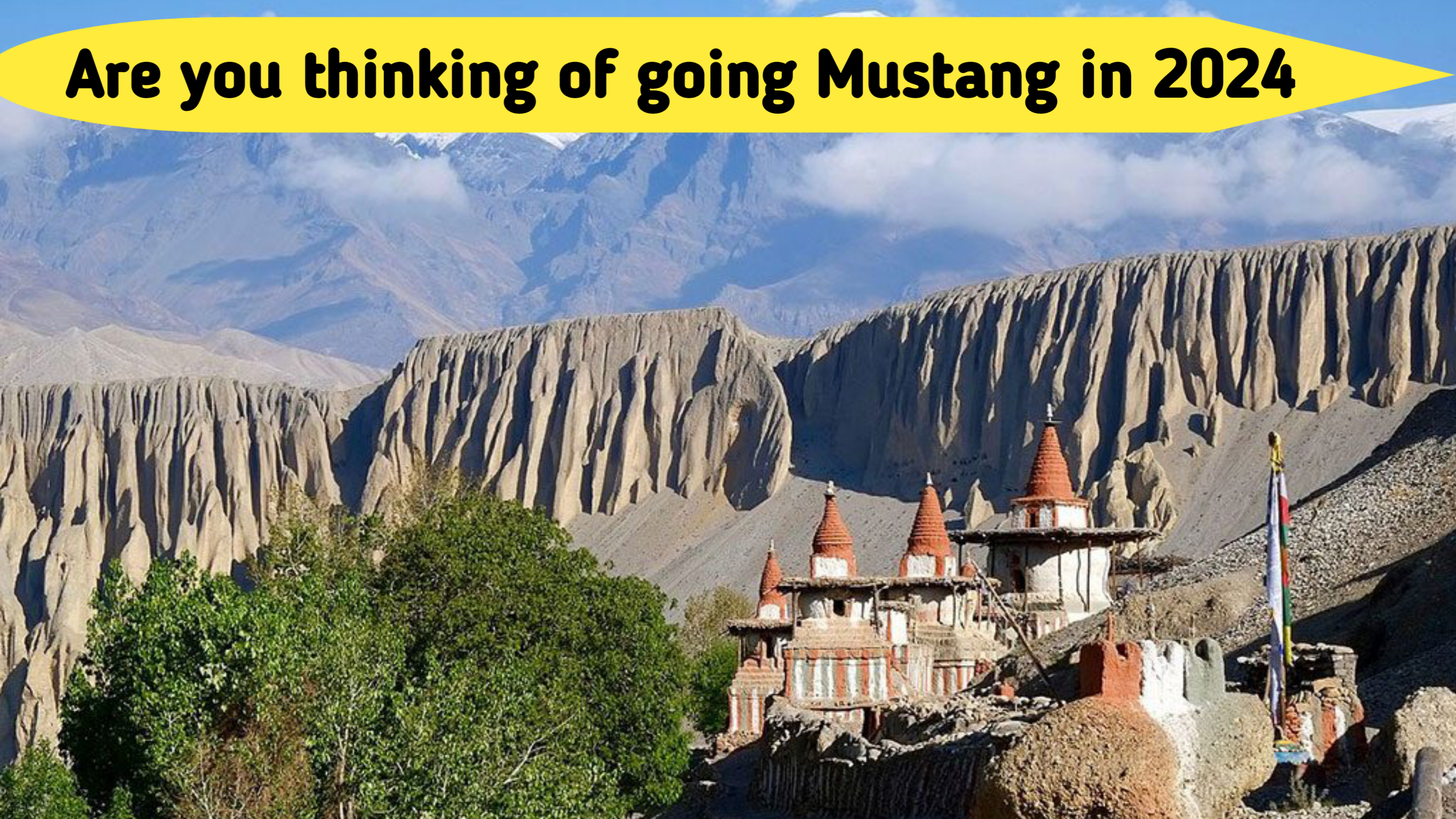 Are you thinking of going Mustang in 2024