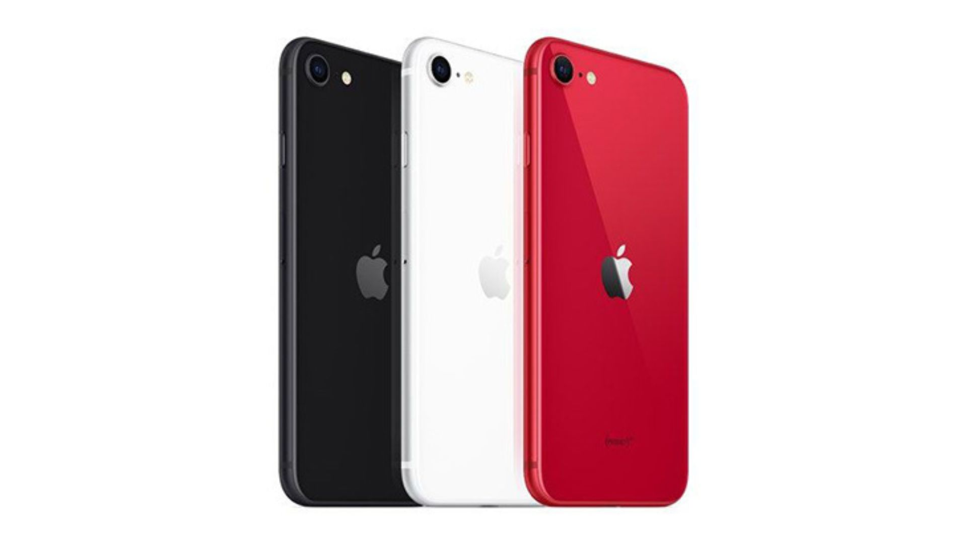 iPhone SE is coming at a cheaper price with the OLED Screen of iPhone 14