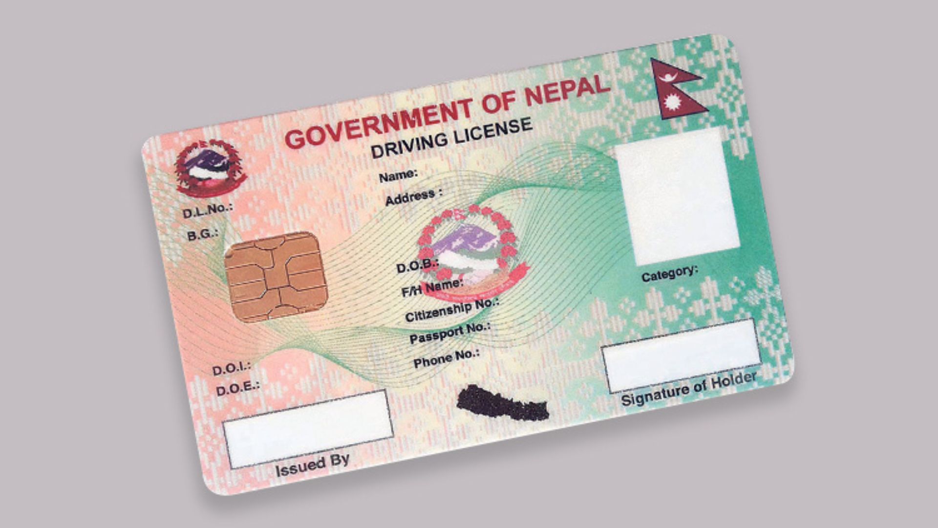 Separate Driving License to Drive Public and Private Vehicles