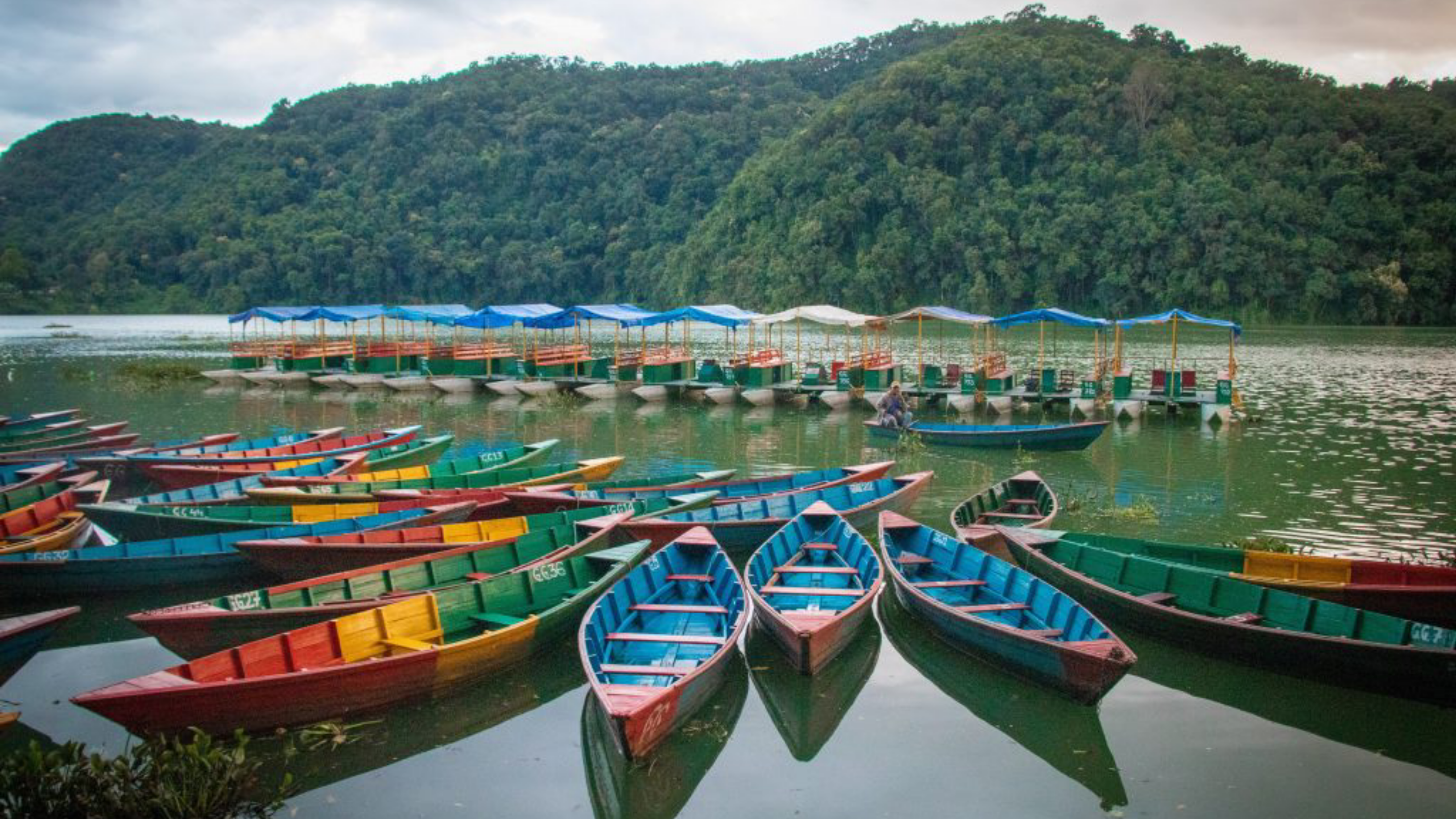 Why People Love to Visit Lakeside in 2024