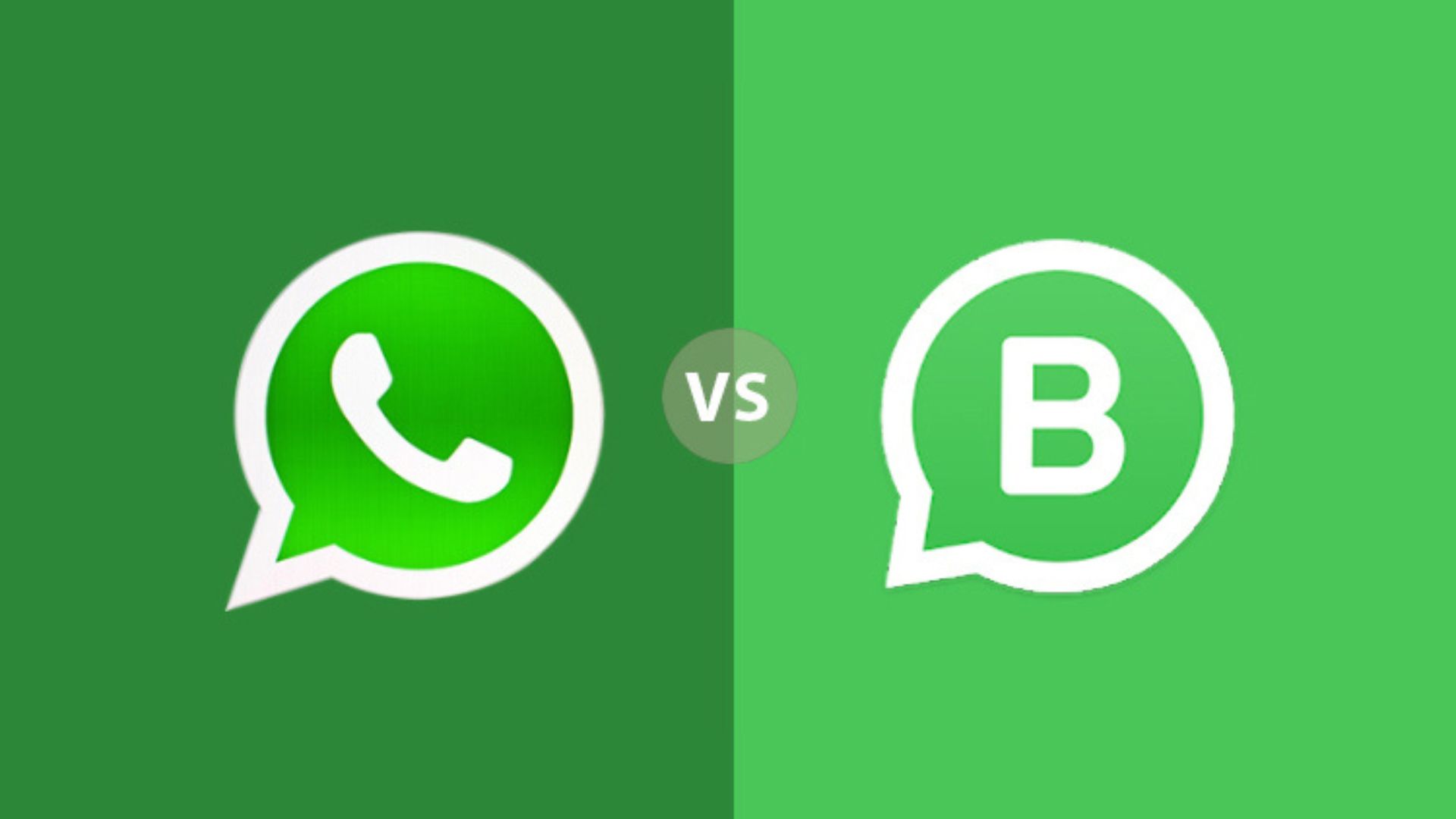 Which App is Right for You: WhatsApp or WhatsApp Business