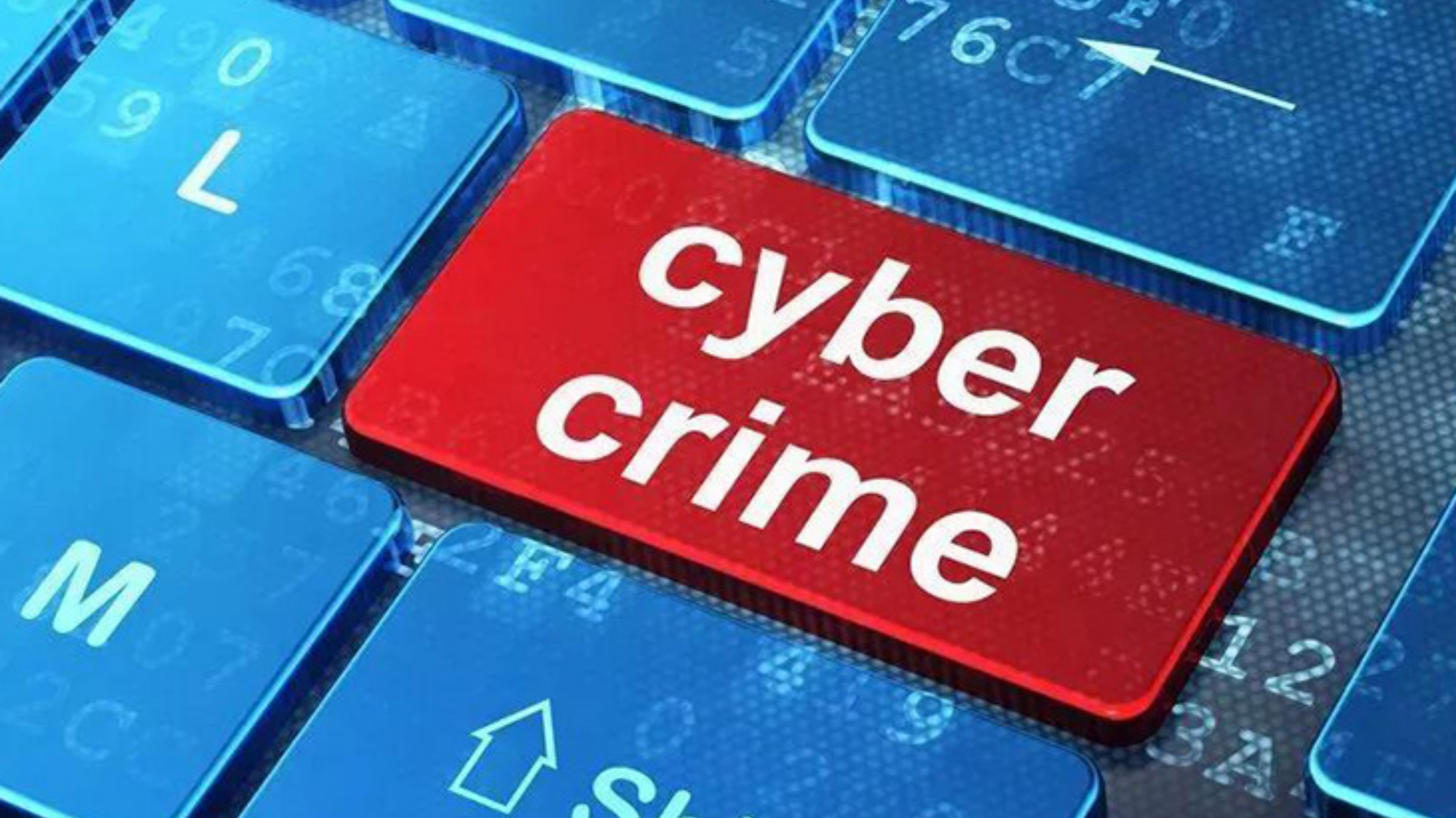 5 Tips You Should Know to Avoid Cybercrime
