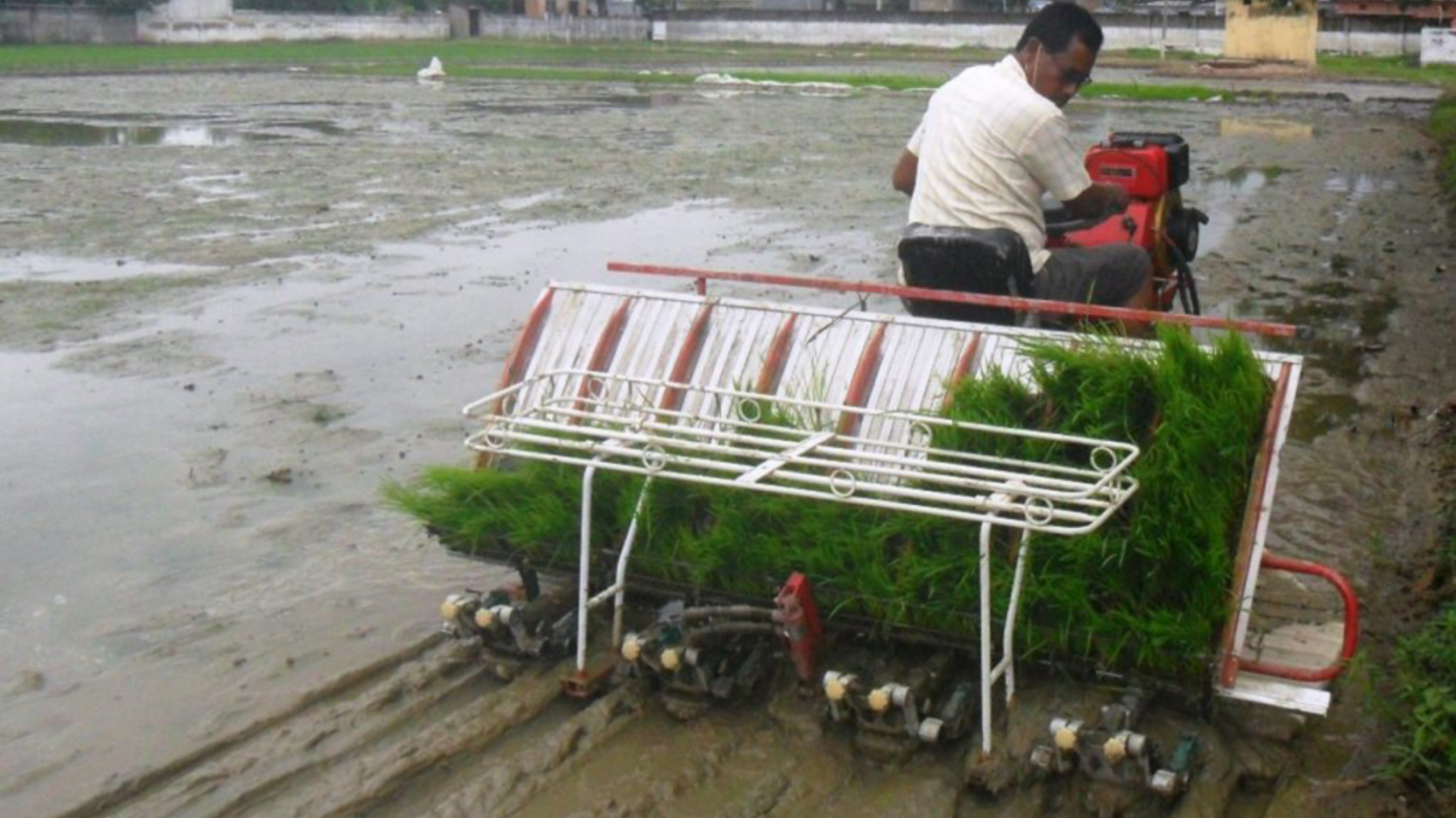 Decreasing Paddy Cultivation Area and Increasing Production with Technology 