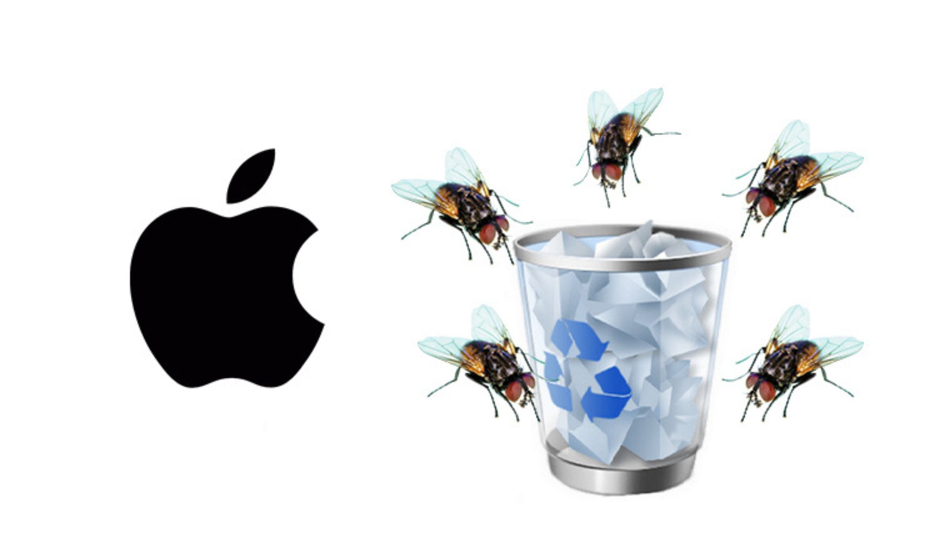 Now When The Trash Folder Of The Mac Computer Is Full