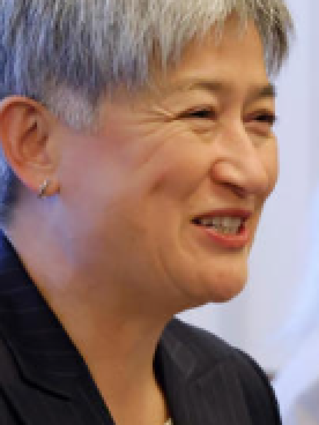 Penny Wong speaks at Korean DMZ