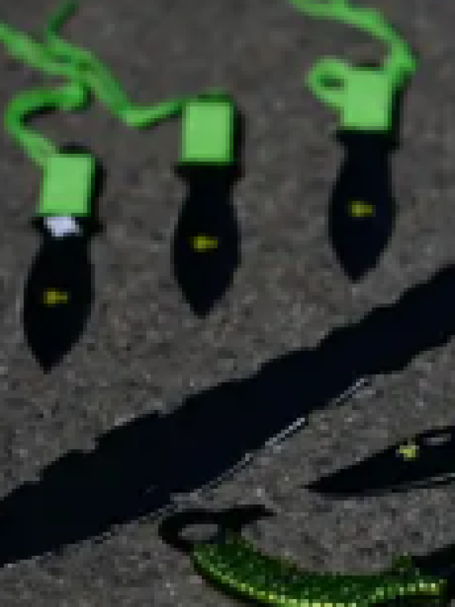 Zombie knife amnesty and compensation scheme starts