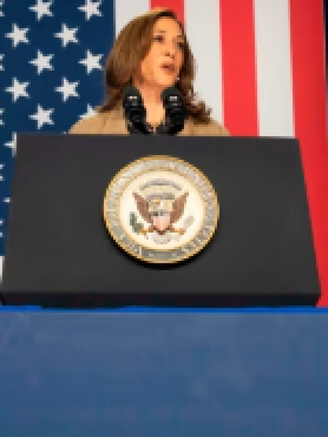 Kamala Harris vows US border clampdown in attempt to neutralise immigration issue