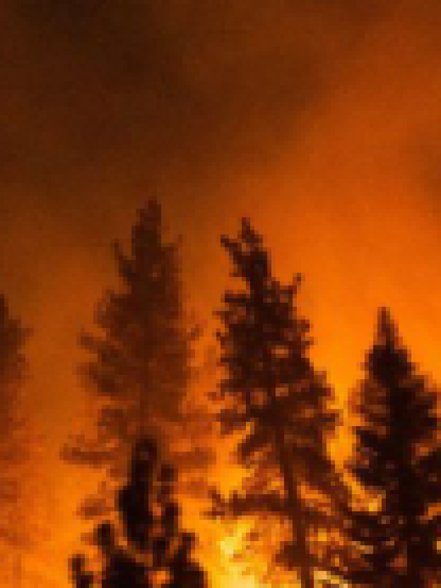 California fire agency worker faces arson charges