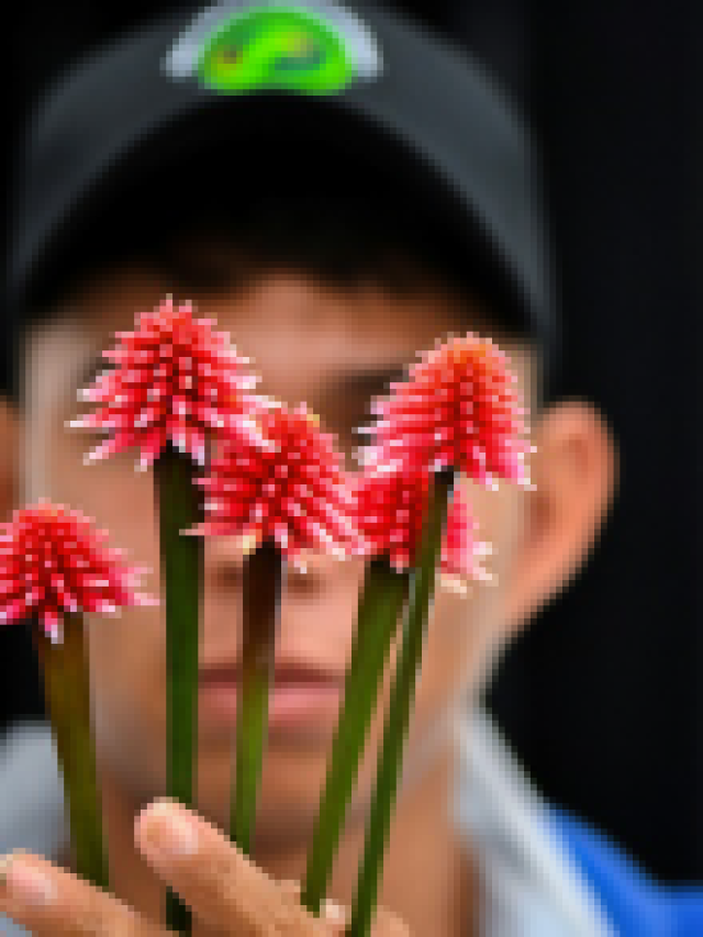 Colombia's Inirida flower: from 'weed' to emblem for UN meeting