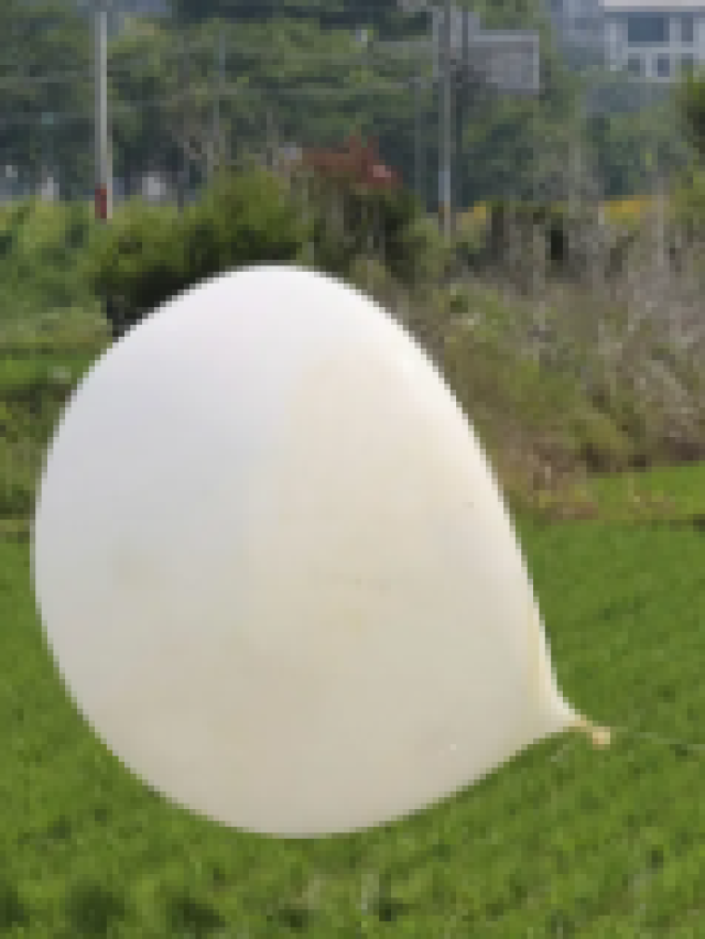 Trash balloons sent by North Korea cause regular disruptions at Seoul's airports