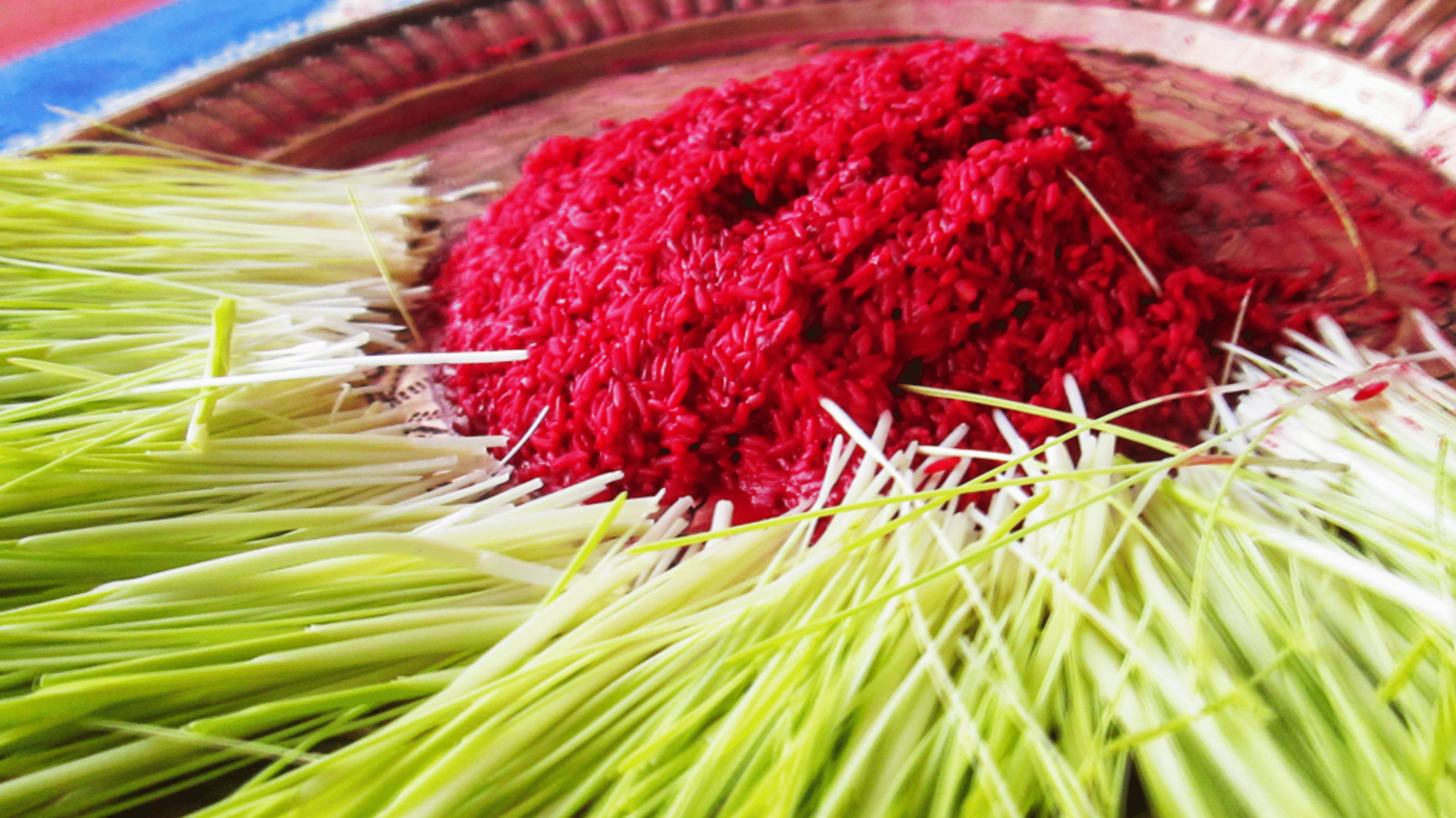 Why Wear Jamara During Dashain In Nepal In 2082