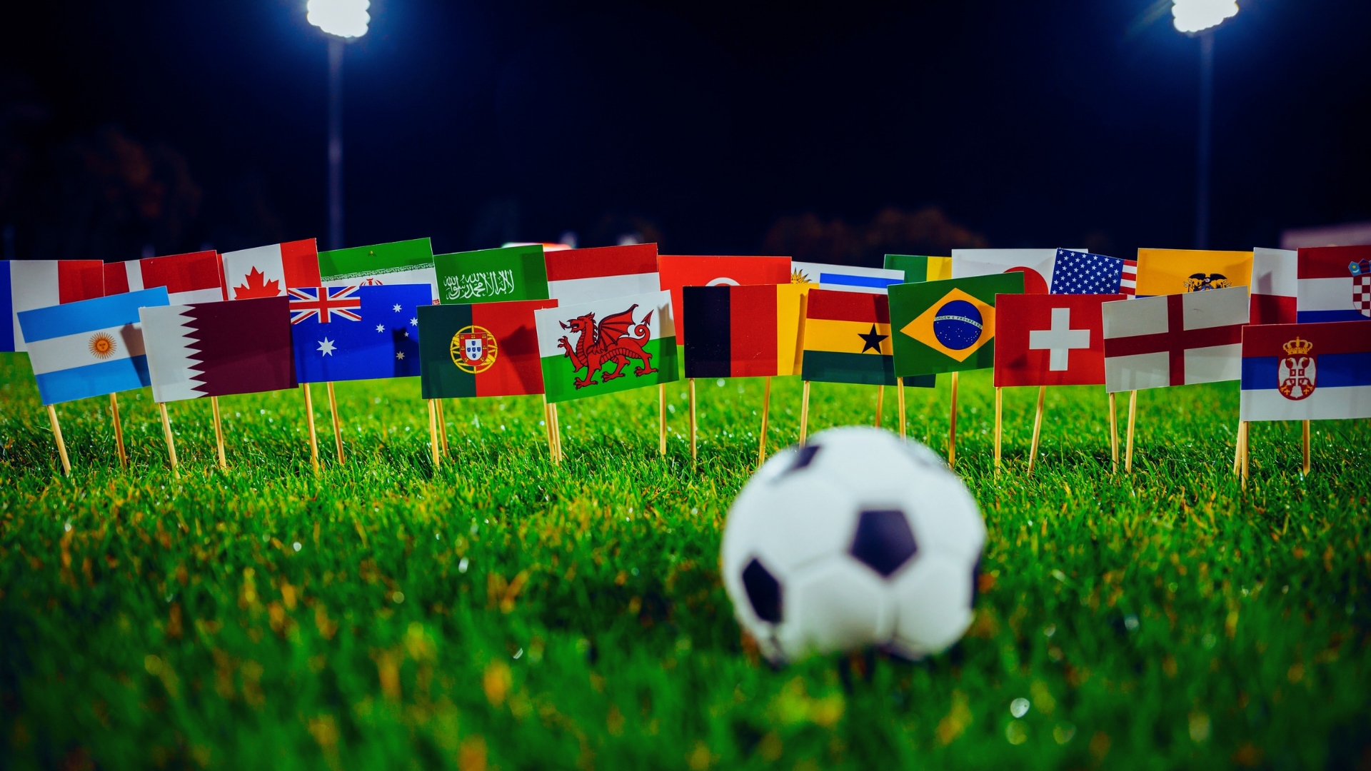 FIFA World Cup 2026: Which Country Located?